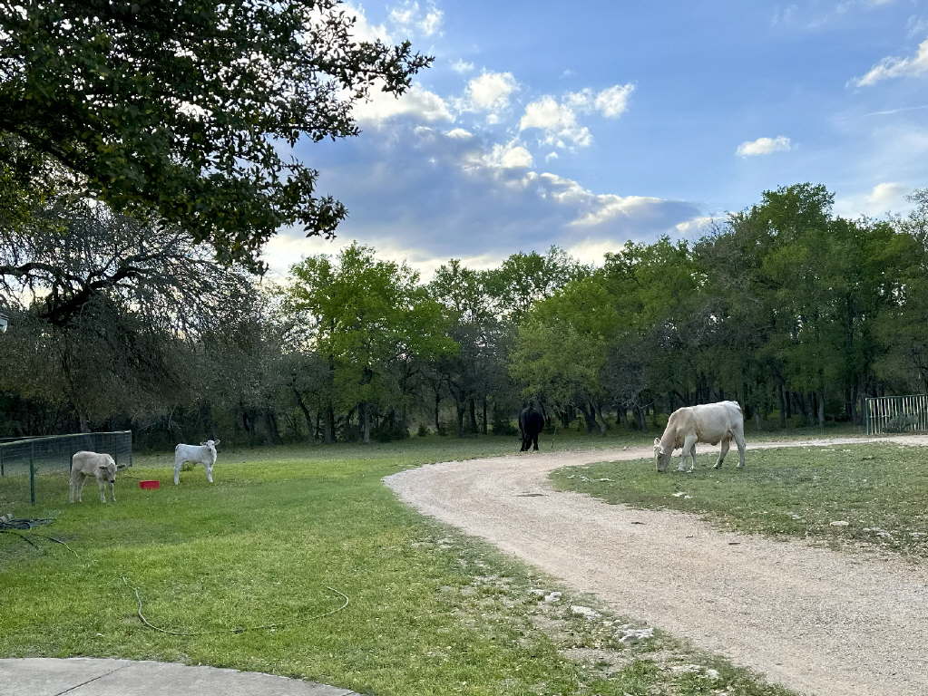 25.01 Acres (370 PR 3502), Hondo