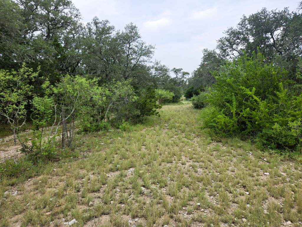 25.01 Acres (370 PR 3502), Hondo