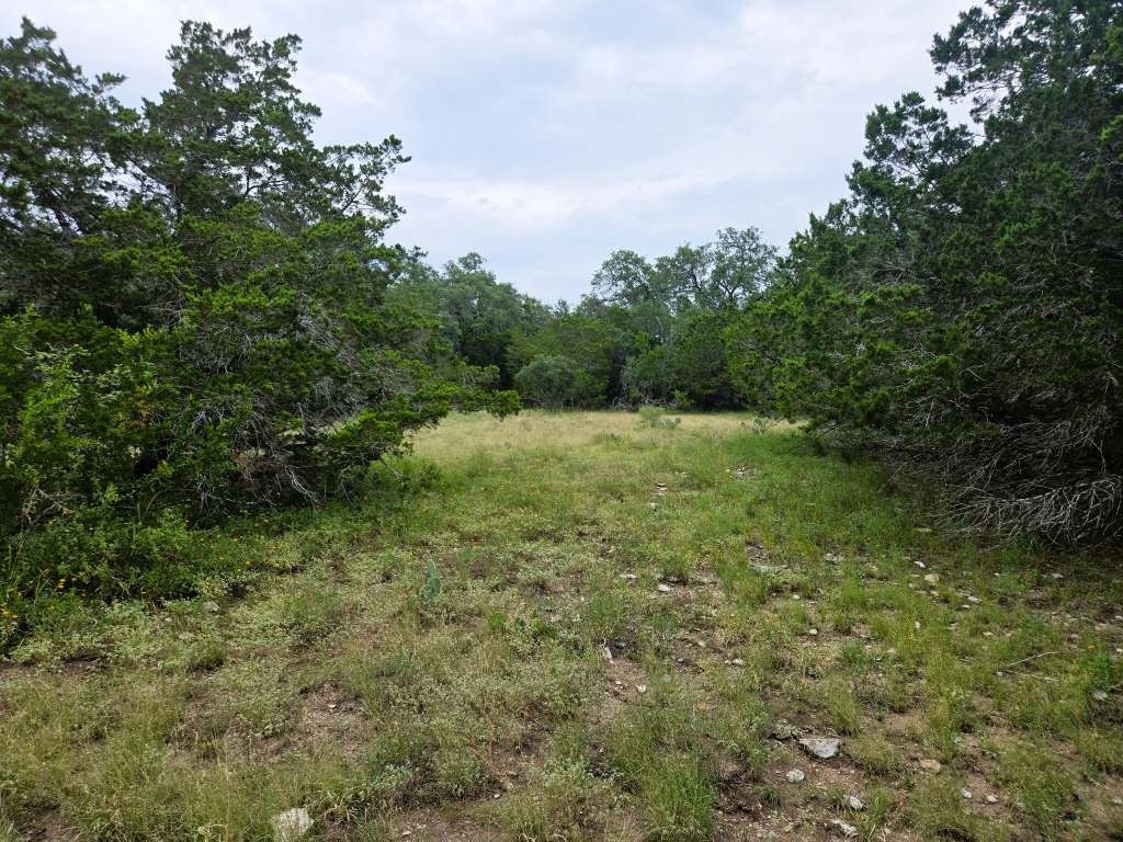 25.01 Acres (370 PR 3502), Hondo