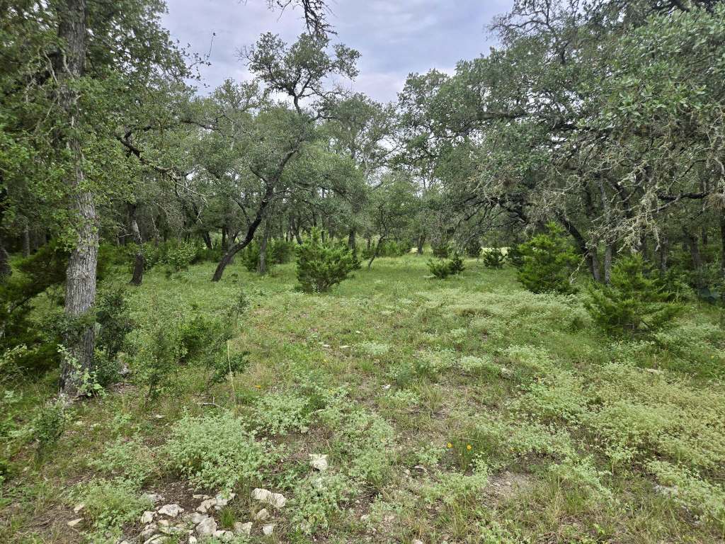 25.01 Acres (370 PR 3502), Hondo