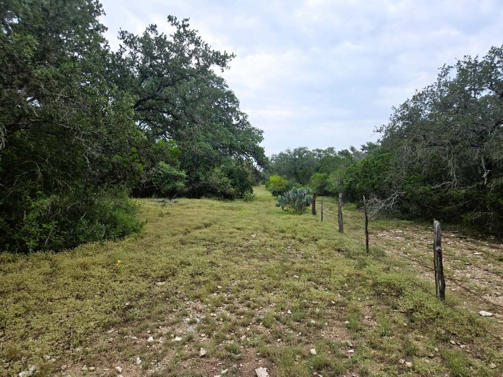 25.01 Acres (370 PR 3502, Hondo)