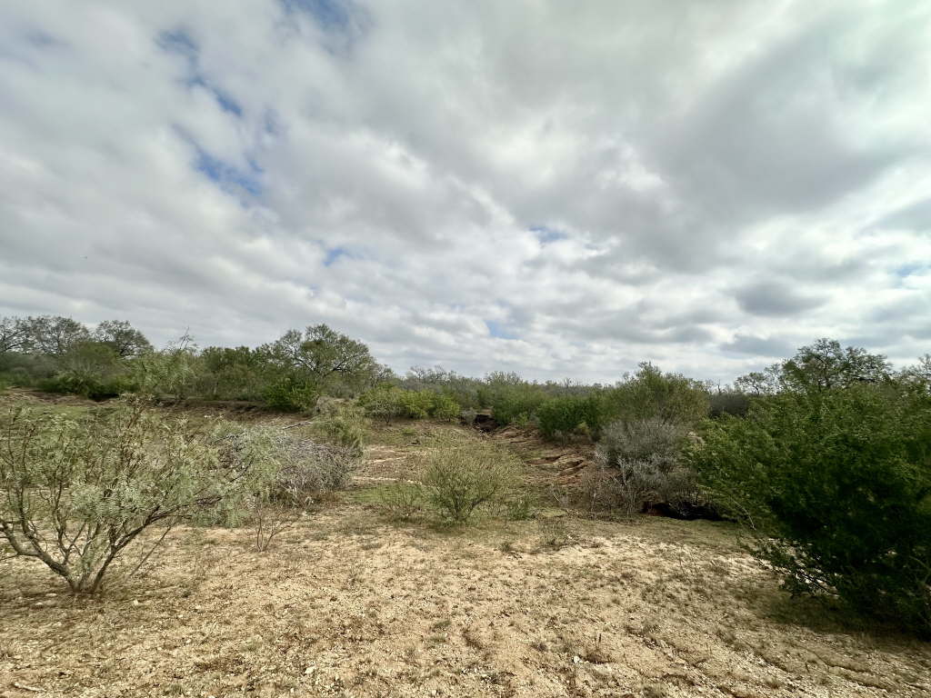20.07 Acres, CR 733, Yancey