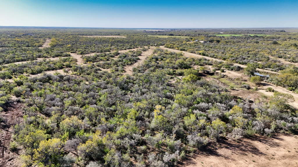 20.07 Acres, CR 733, Yancey