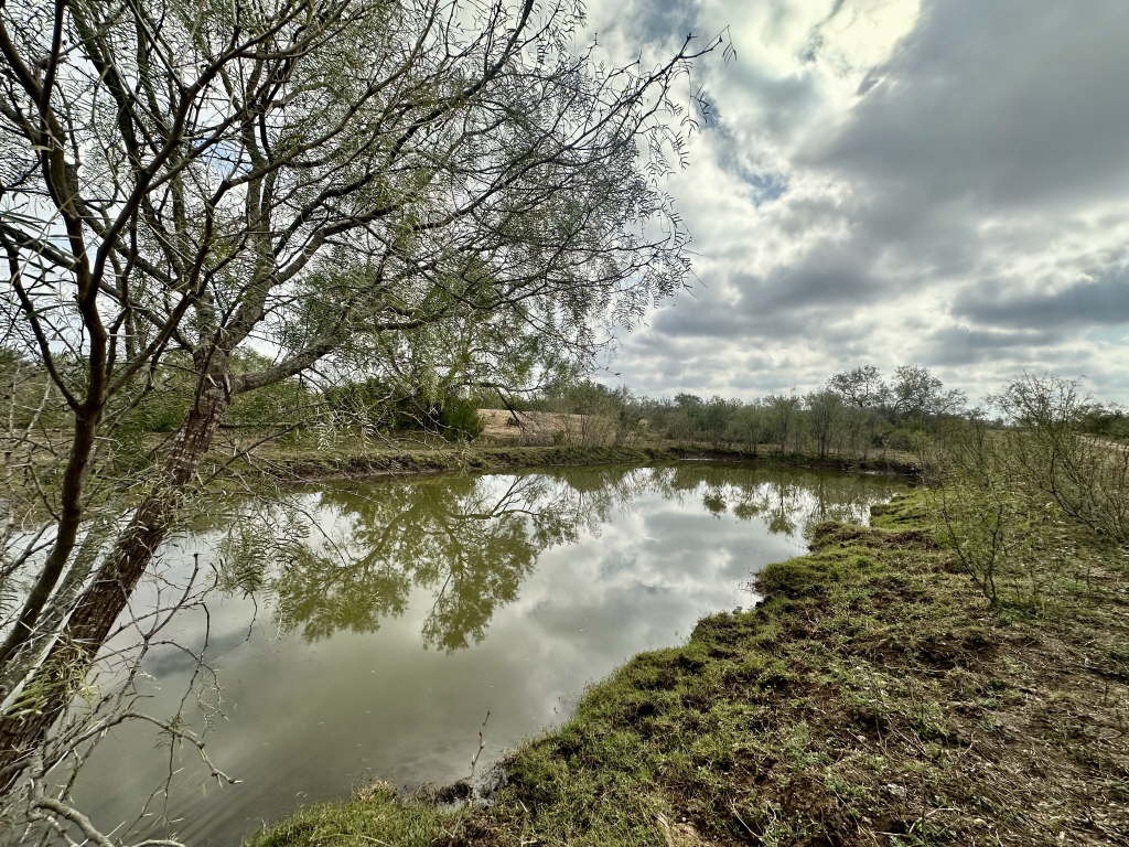 20.07 Acres, CR 733, Yancey