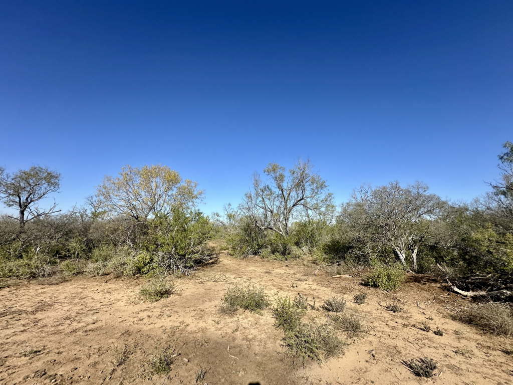 20.07 Acres, CR 733, Yancey