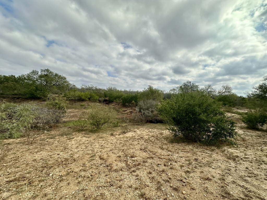 20.07 Acres, CR 733, Yancey