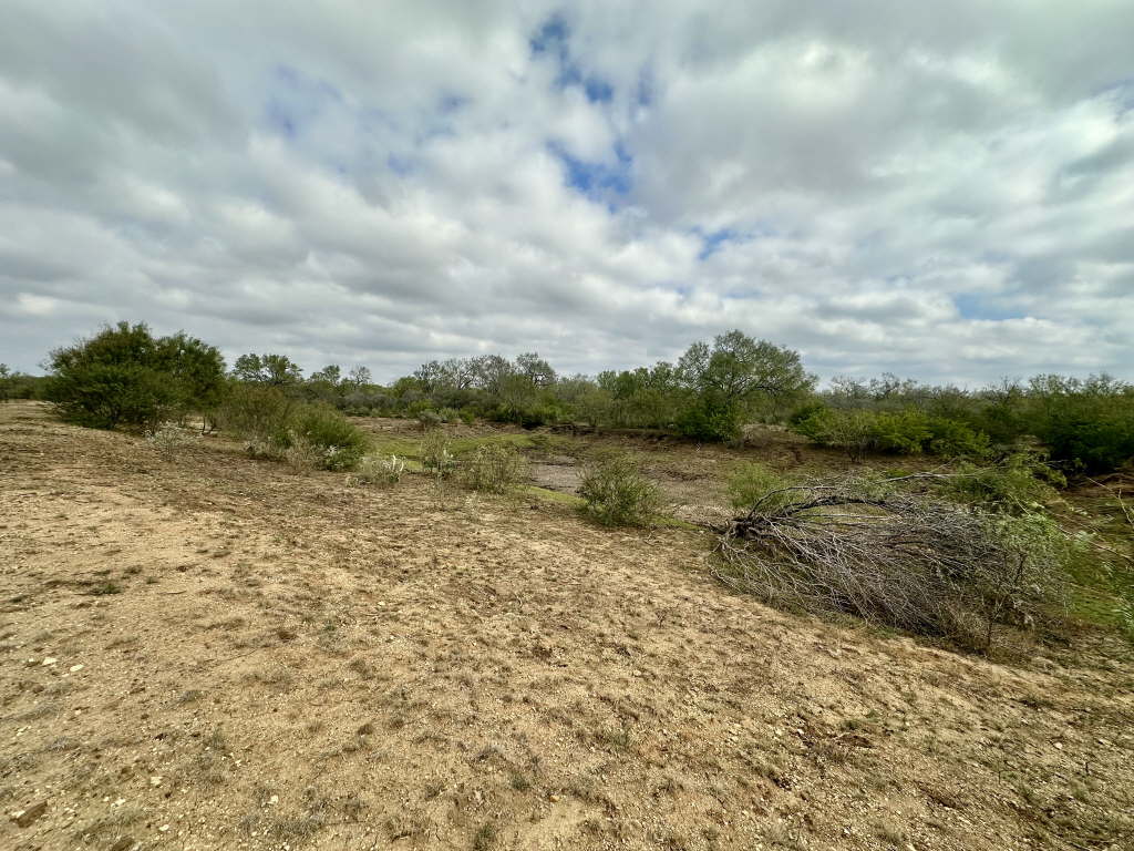 20.07 Acres, CR 733, Yancey