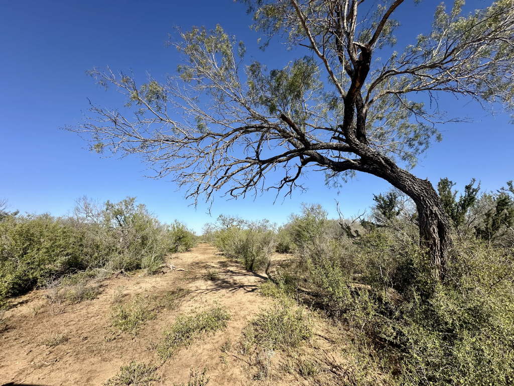 20.07 Acres, CR 733, Yancey