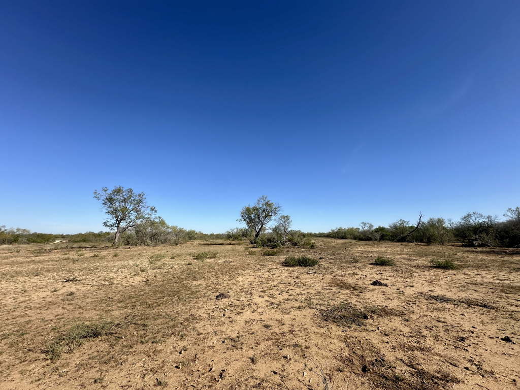20.07 Acres, CR 733, Yancey