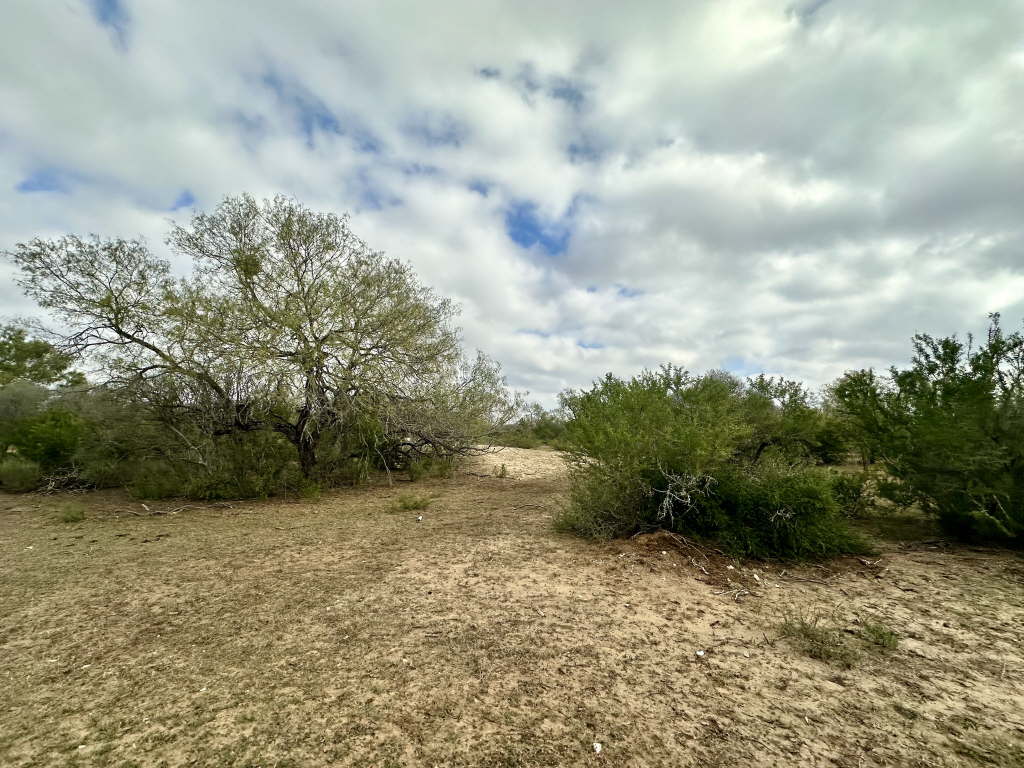 20.07 Acres, CR 733, Yancey