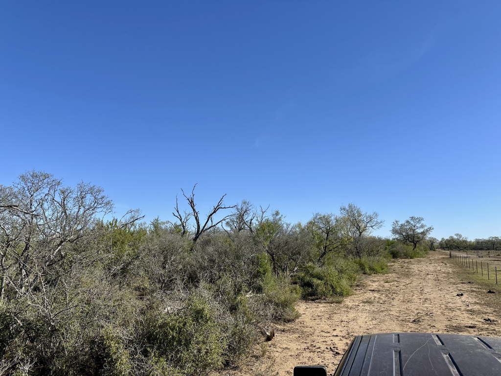 20.07 Acres, CR 733, Yancey