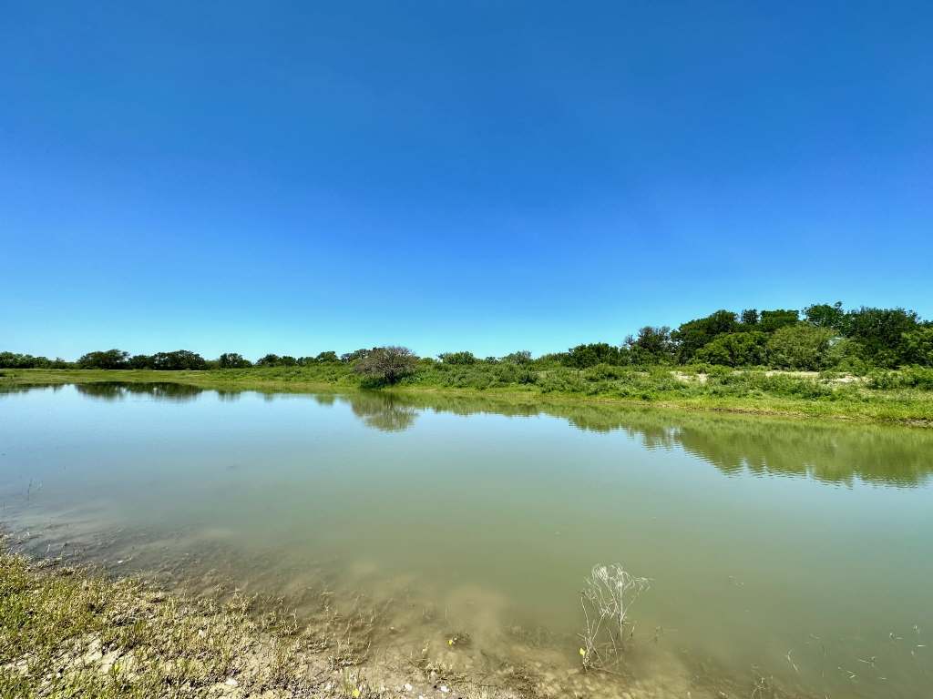 358 Acres, PR 6100, D'Hanis