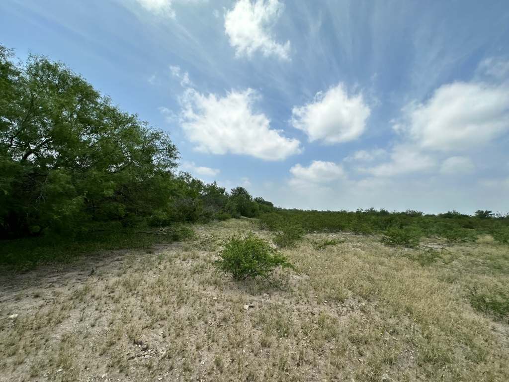 358 Acres, PR 6100, D'Hanis