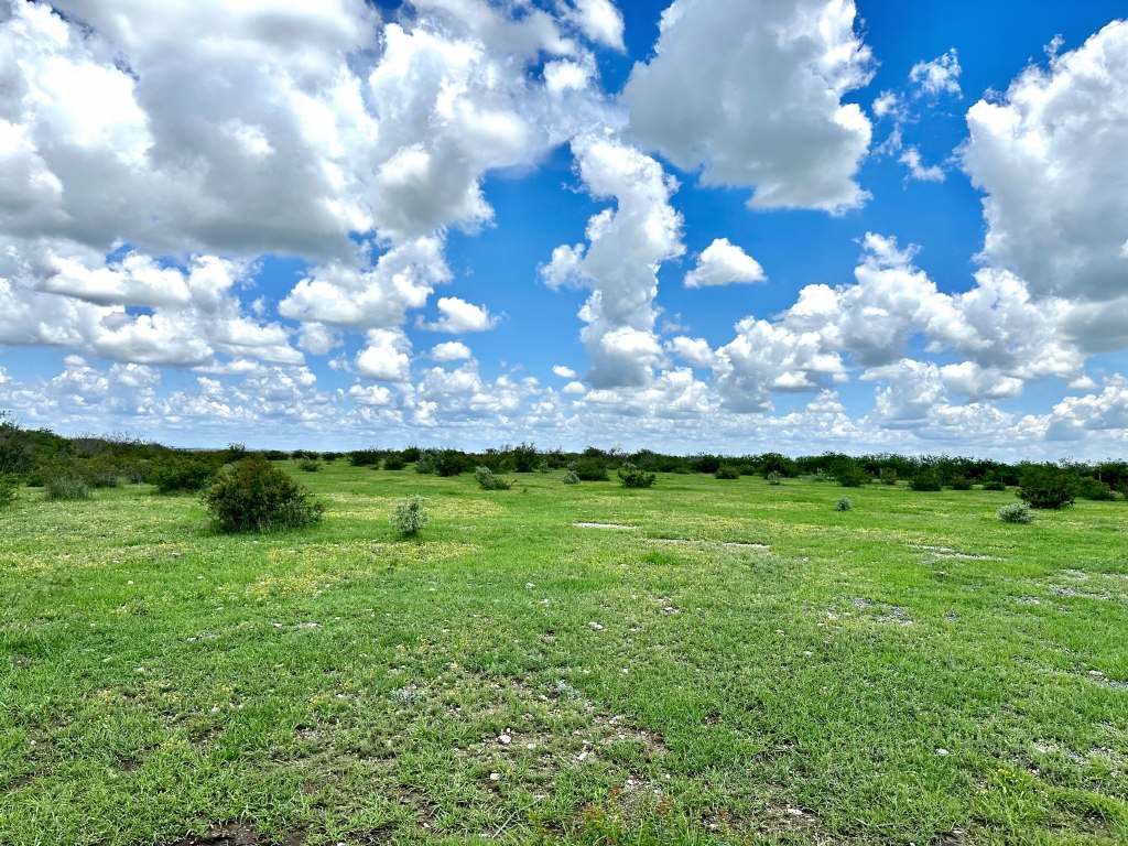 358 Acres, PR 6100, D'Hanis