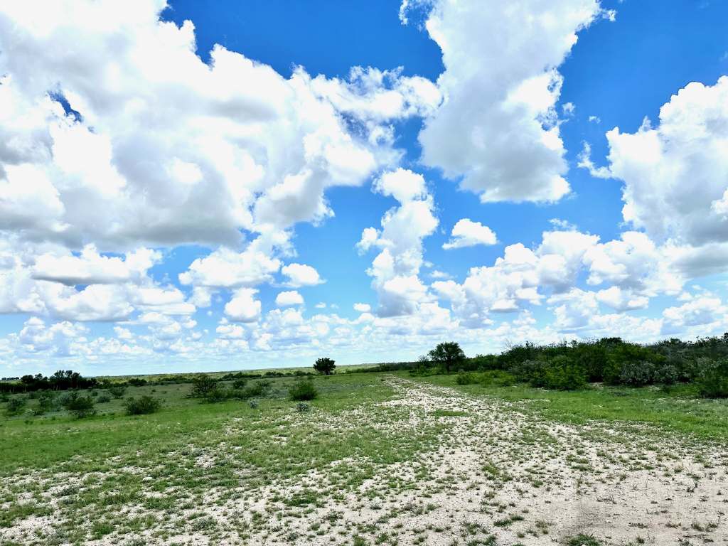 358 Acres, PR 6100, D'Hanis