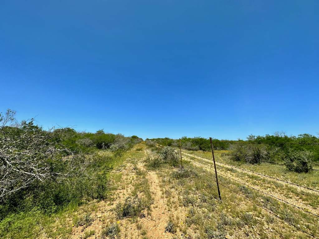 358 Acres, PR 6100, D'Hanis