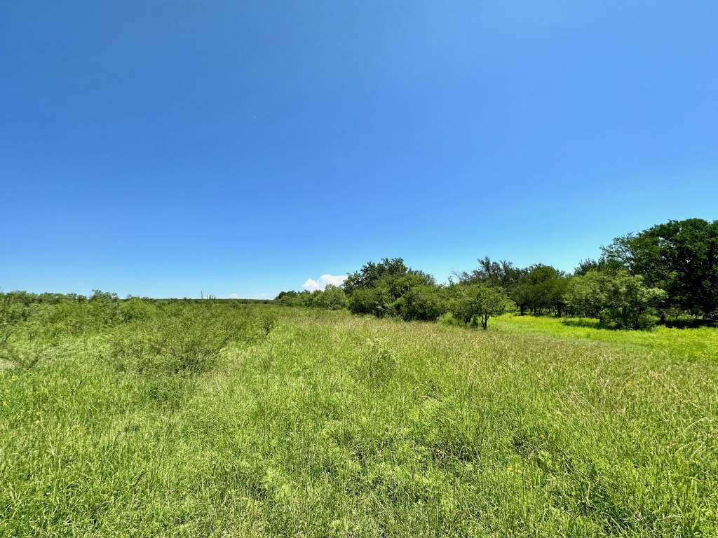 358 Acres, PR 6100, D'Hanis