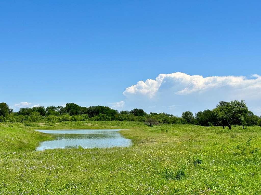 358 Acres, PR 6100, D'Hanis