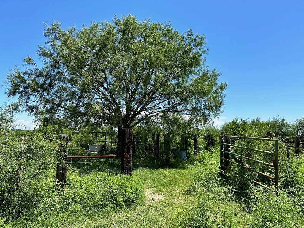 358 Acres, PR 6100, D'Hanis