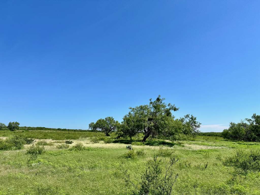 358 Acres, PR 6100, D'Hanis