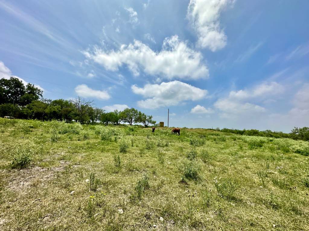 358 Acres, PR 6100, D'Hanis