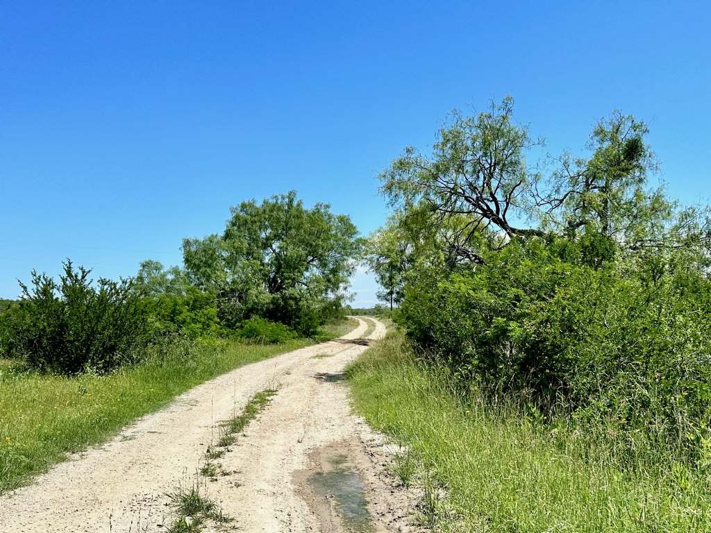 358 Acres, PR 6100, D'Hanis