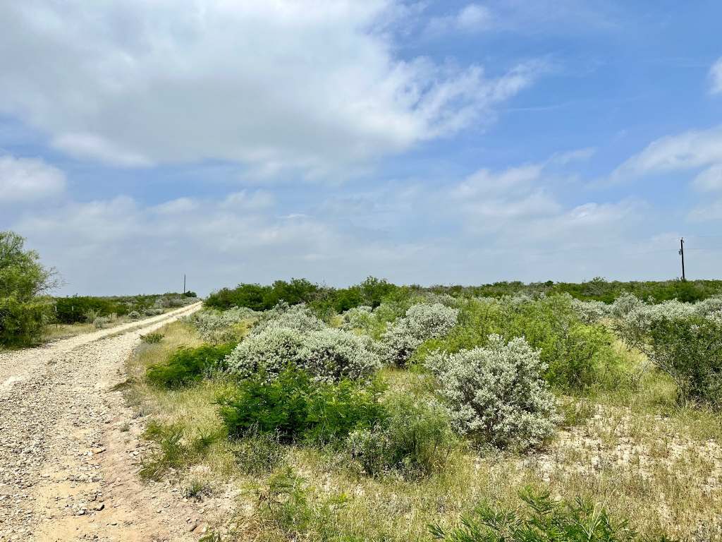 358 Acres, PR 6100, D'Hanis