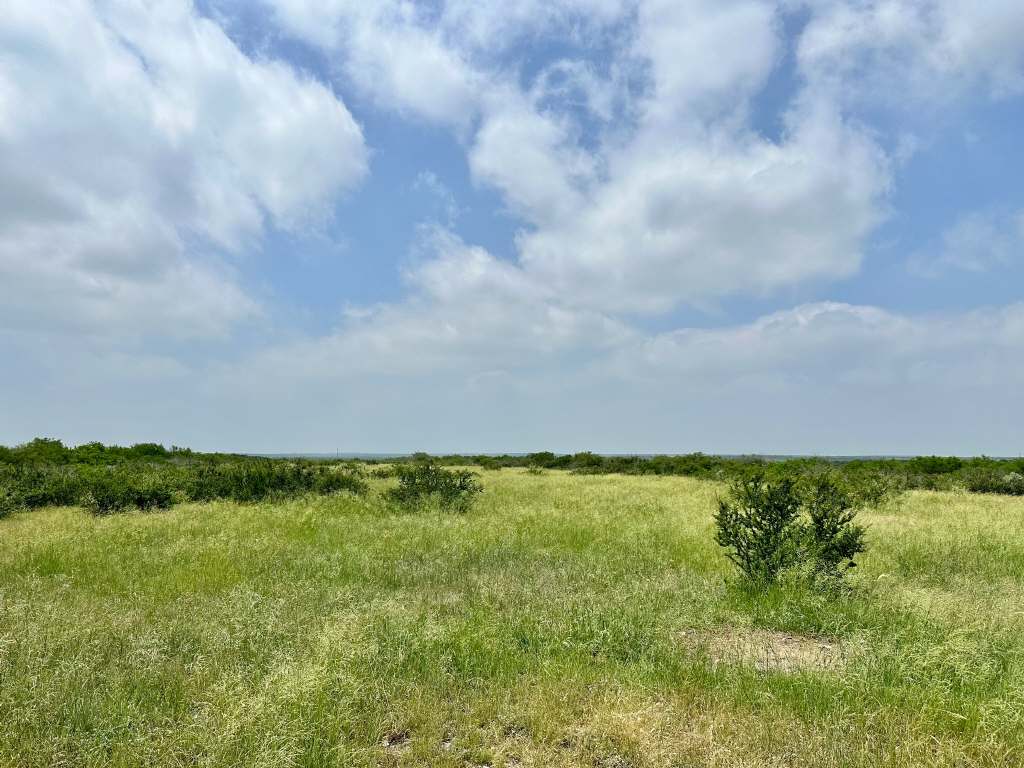 358 Acres, PR 6100, D'Hanis